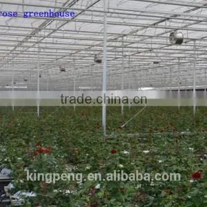 Commercial Rose Multi-span Glass Green House for Sale thumbnail-1