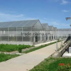 Used Commercial Greenhouses thumbnail-2