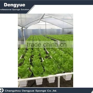 Agricultural Polyurethane High Densuty Vegetables Seedling Planting Sponge thumbnail-5