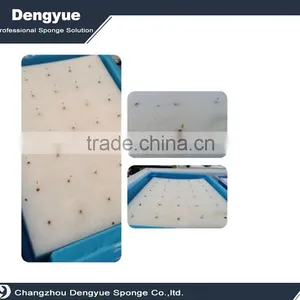 Agricultural Soilless Vertical Seed Germination Foam Tray thumbnail-6
