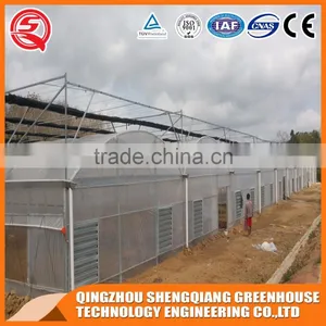 2017 China Plastic Tunnel Greenhouse Agriculture Made in China thumbnail-1