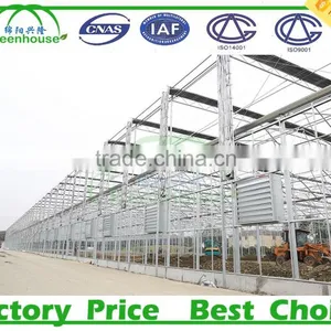 Used Galvanized Steel Pipe Frame Tunnel Greenhouse for Sale thumbnail-1