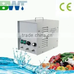 1g/h Portable CE Ozone Generator for Fruit and Vegetable Washer thumbnail-1