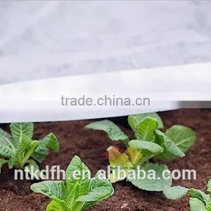 High Quality Top Grade Polypropylene Non Woven Fabric thumbnail-2