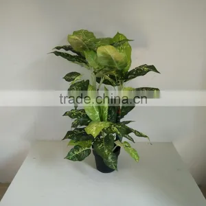 Artificial Green Plant Wholesale thumbnail-4
