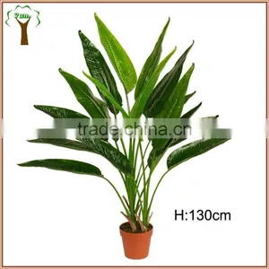 Medium Artificial Traveller Banana Plant thumbnail-1