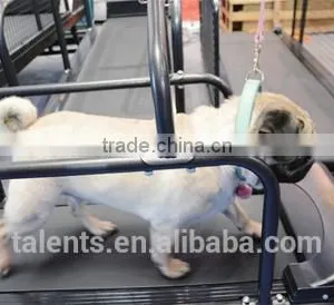 Dog Fitness Machine/pet Treadmill /pet Products thumbnail-2