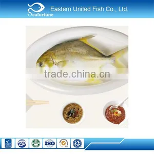 Frozen Wholesale Health Frozen Golden Pompano/golden Pomfret thumbnail-1