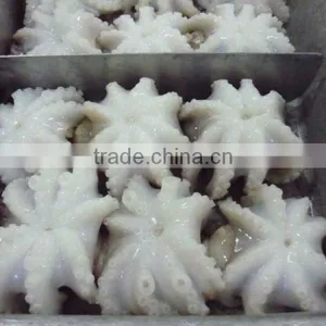 Baby Octopus Whole thumbnail-4