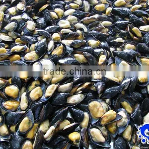 Frozen Boiled Mussel With Shell thumbnail-1