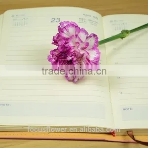 Magnificent Cut Flower Holland Carnation for Interior Decoration thumbnail-2