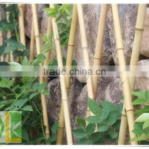 Decoration of Bamboo Garden Fence thumbnail-1