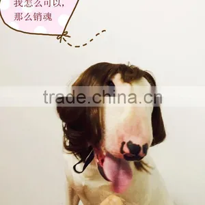R1941H Lovely Cute Dog Wig,wigs for Dogs,dog Wig thumbnail-2