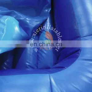 Mini Inflatable Blue Water Slide for Kids,children Slide,ueed Swimming Pool Slide thumbnail-5
