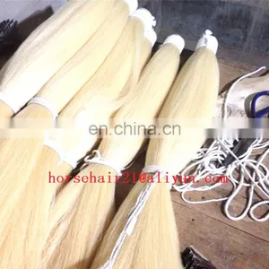 Horse Tail Equestrian thumbnail-6