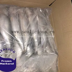 Frozen Mackerel Scomber 300-500g thumbnail-1
