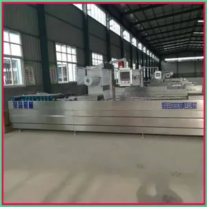 Vacuum Packing Machine for Dressed Chicken thumbnail-3