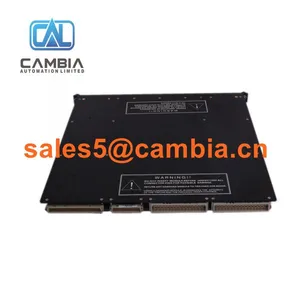 In Stock! Triconex 2551 7400056-110/ Sales5@cambia.cn thumbnail-1