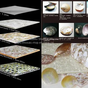 High Quality Shell Mosaic Tiles on Mesh FY-B018 thumbnail-4