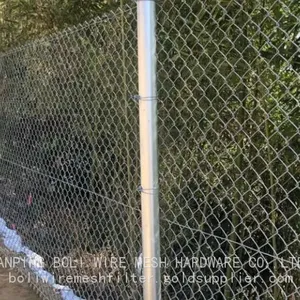 Steel Chain Link Mesh /Chain Link Mesh Fance/ Farm Mesh Fence / Galvanized Wire Fence/ PVC Costed/ Woven Fence thumbnail-1