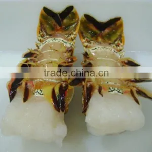 Frozen Lobster Tails thumbnail-3