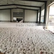Linyi Goldlion Wicker Co., Ltd. company overview - view 3 thumbnail