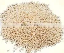 High Quality Artificial Rice Shaping/extrusion Machine thumbnail-4