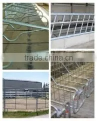 Qingdao Xinbaofeng Industrial Trade Co., Ltd. company overview - view 2 thumbnail