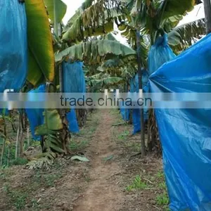 UV Stabilize Banana Protection Bag 20micron thumbnail-1