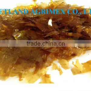 Shellac IN VIETNAM thumbnail-4