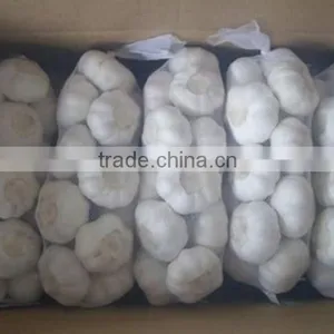 White Garlic Packed in 10kgs/ctn thumbnail-5