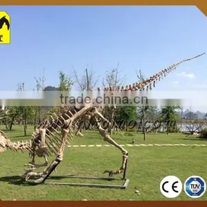 Dinosaur Fossils Playground for Outdoor Using thumbnail-1