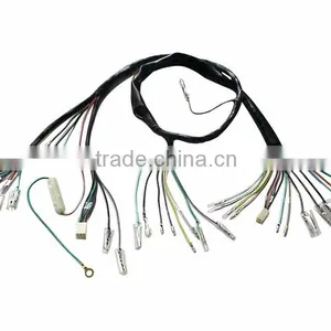 Wiring Loom thumbnail-1