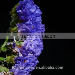 Promotional Dried Flowers Roses Flowers With 60-80cm Long From Yunnan, China thumbnail-5