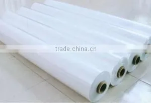 Pe Film thumbnail-1