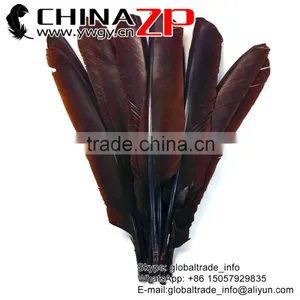 Leading Supplier ZPDECOR Crafts Factory Wholesale Dyed Brown Turkey Pointers Quill Large Feathers for Sale thumbnail-1