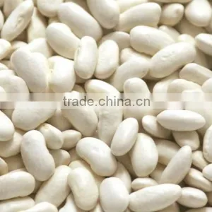 White Kidney Beans HPS Grade thumbnail-1
