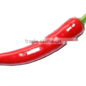 2012 Red-hot-dried-chilli/pepper (greenliving) thumbnail-1