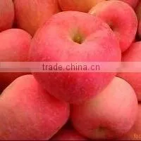 Shandong Fresh Red Fuji Apple thumbnail-1