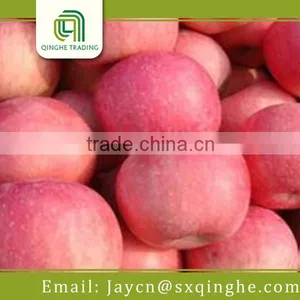 Fresh Fuji Apple Fruit Specification thumbnail-1