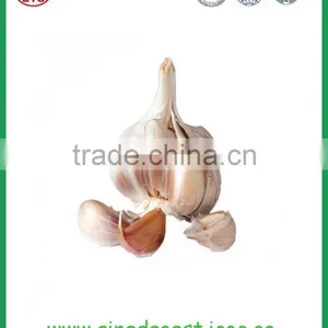 JNinxiang White Garlic in Mesh Bag or Carton thumbnail-1