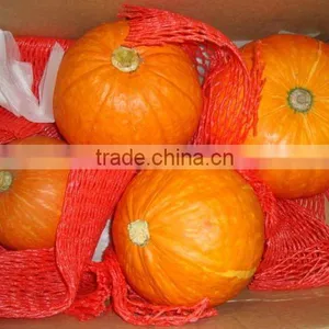 Fresh Red Pumpkin (new) thumbnail-1