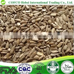 Sunflower Kernels thumbnail-1