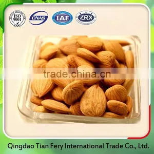 Apricot Kernels/ Bitter and Sweet Apricot Kernels thumbnail-1