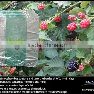 Dragon Fruit Bag thumbnail-5