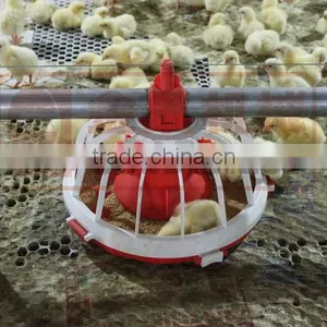 Poultry Farm Feeding Equipment thumbnail-3