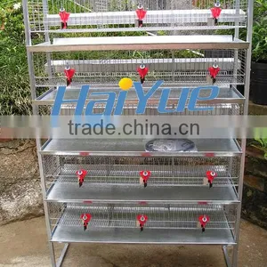 TAIYU Quail Bird Cages Visit Customers Every Year thumbnail-1