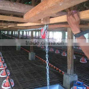 Low Price Philippines Poultry Farm House Design Broiler Chicken Raising Equipment thumbnail-1