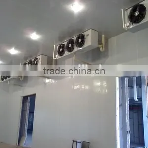 Cold Storage Room for Fruits and Vegetables With Competitive Price thumbnail-1