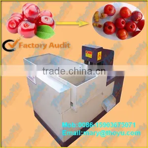 Thoyu Brand Automatic Dates Pitter of Different Type(0086-15903675071) thumbnail-1